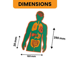DIY Human Body | STEM Educational Construction Activity Kit for Kids | Learning Science Toy | Best Gifting Option