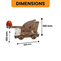 DIY Catapult | Trebuchet | STEM Educational Construction Activity Kit for Kids | Learning Science Toy | Best Gifting Option
