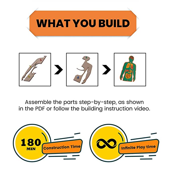 DIY Human Body | STEM Educational Construction Activity Kit for Kids | Learning Science Toy | Best Gifting Option